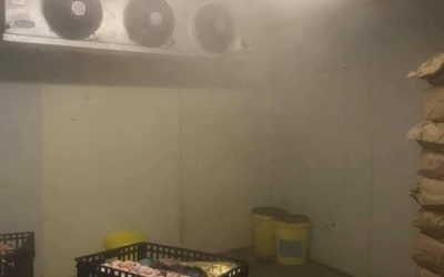 Up and running nice temp